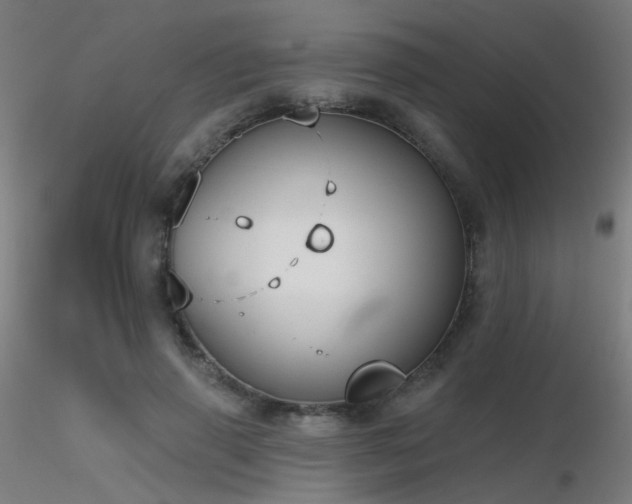 X0000116830645200912181435