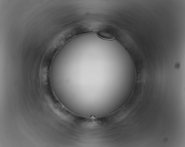 X0000116830646200912181435
