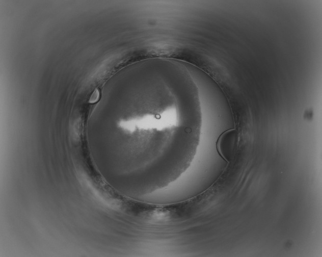 X0000116830647200912181435