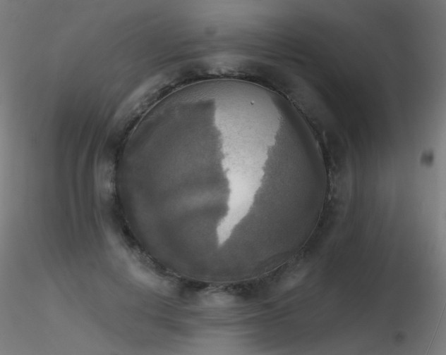 X0000116830648200912181435