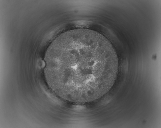 X0000116830649200912181435