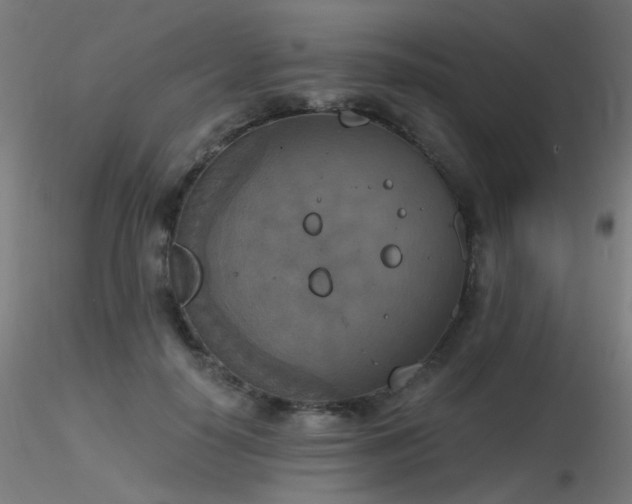X0000116830650200912181435