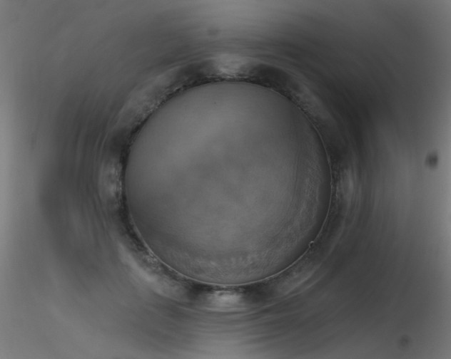 X0000116830651200912181435