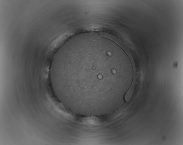 X0000116830652200912181435