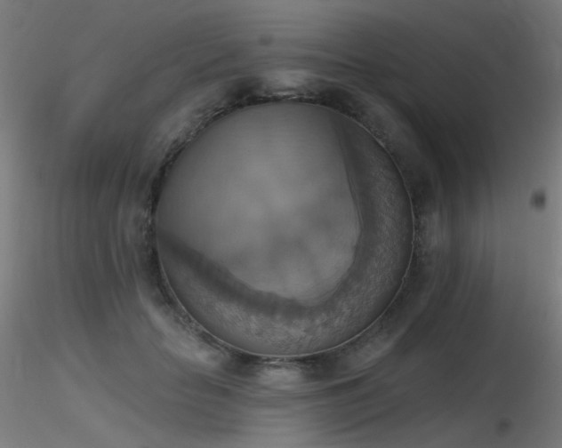 X0000116830653200912181435