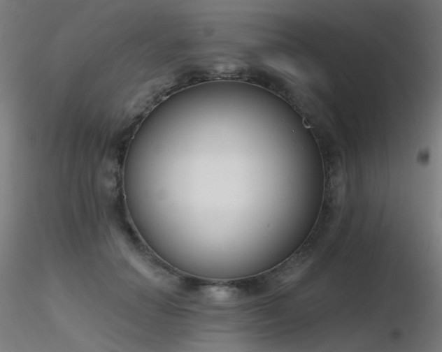 X0000116830654200912181435