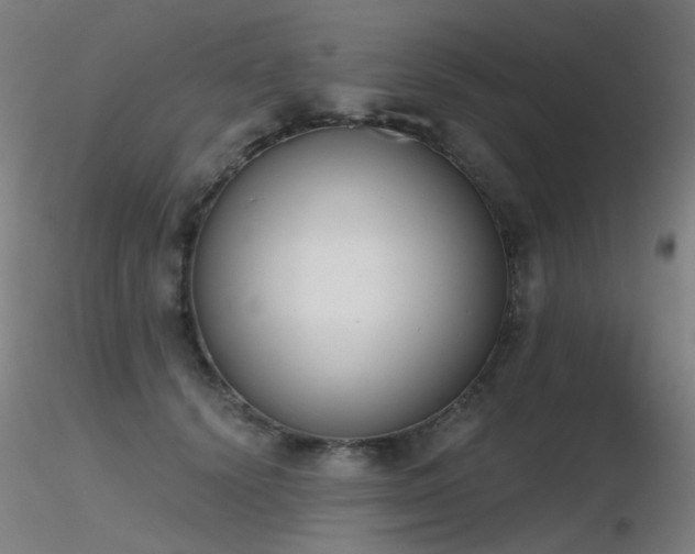 X0000116830656200912181435