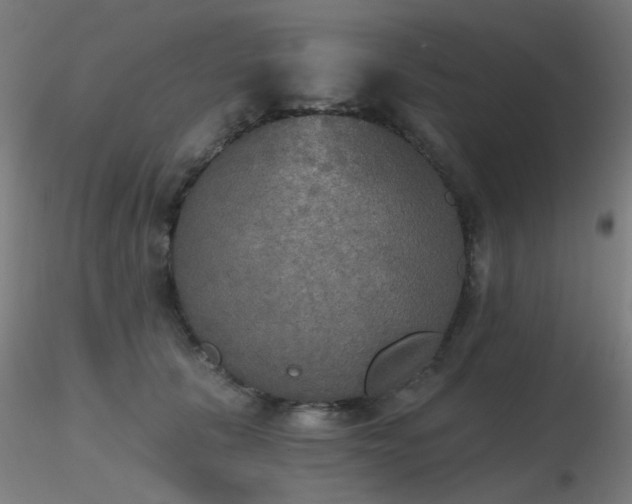 X0000116830657200912181435