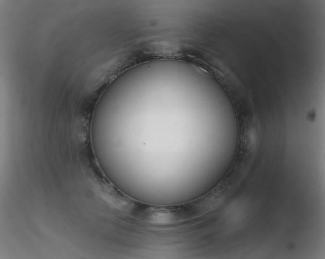 X0000116830658200912181435