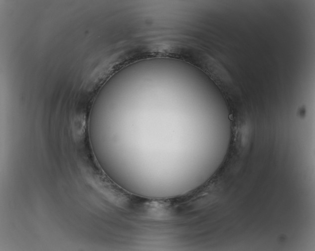 X0000116830660200912181435