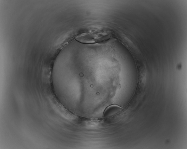 X0000116830661200912181435