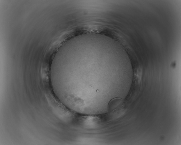 X0000116830663200912181435