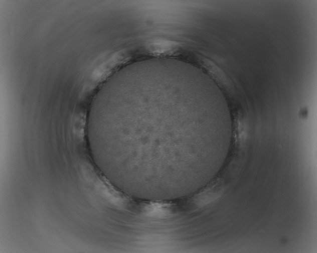 X0000116830664200912181435