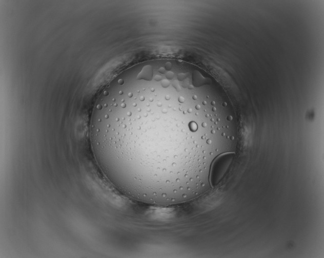 X0000116830665200912181435