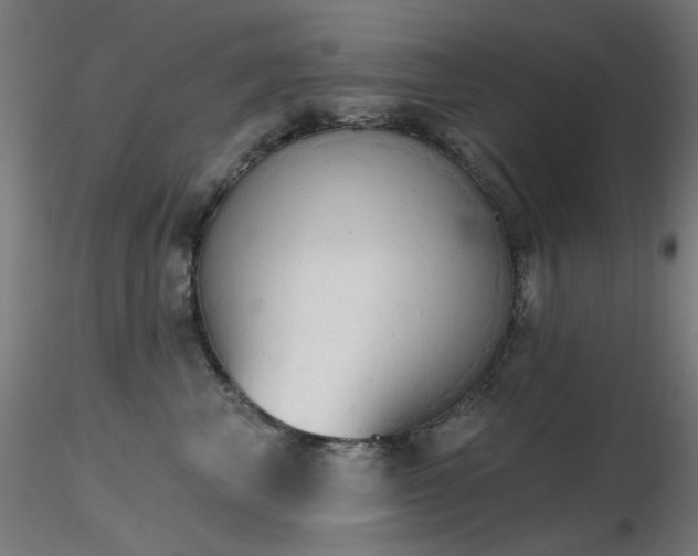 X0000116830667200912181435