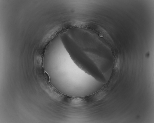 X0000116830669200912181435