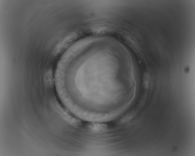 X0000116830670200912181435