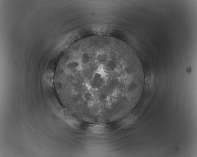 X0000116830671200912181435