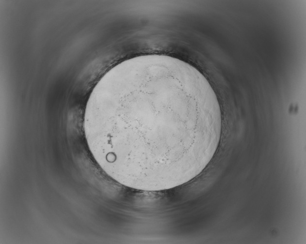 X0000116830672200912181435