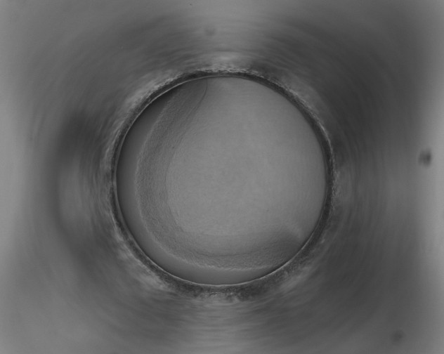 X0000116830673200912181434
