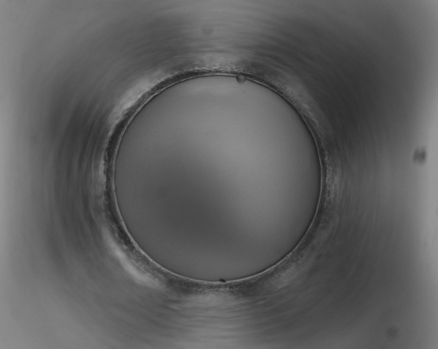 X0000116830674200912181434