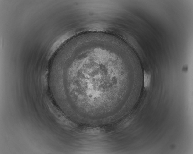X0000116830675200912181434
