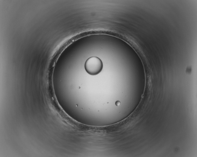 X0000116830676200912181434