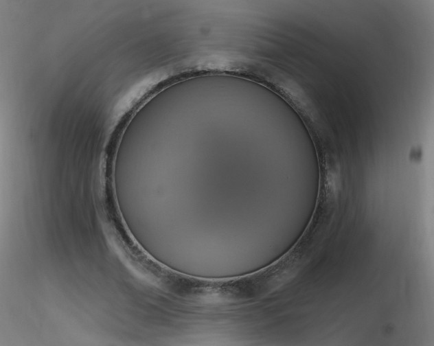 X0000116830678200912181434