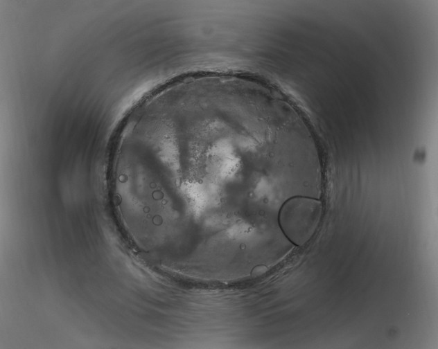 X0000116830679200912181434
