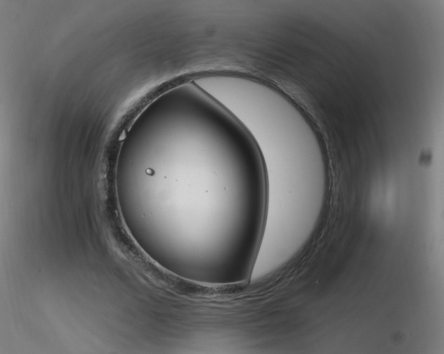 X0000116830680200912181434