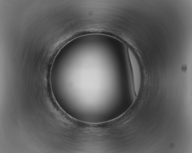 X0000116830681200912181434