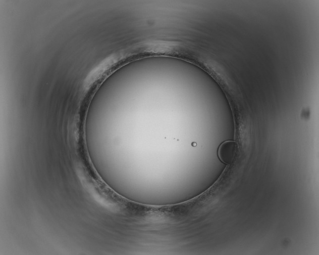 X0000116830682200912181434