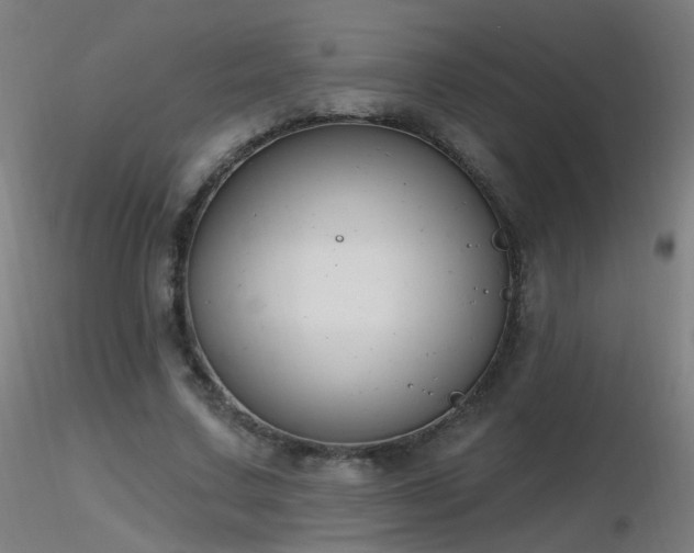 X0000116830683200912181434