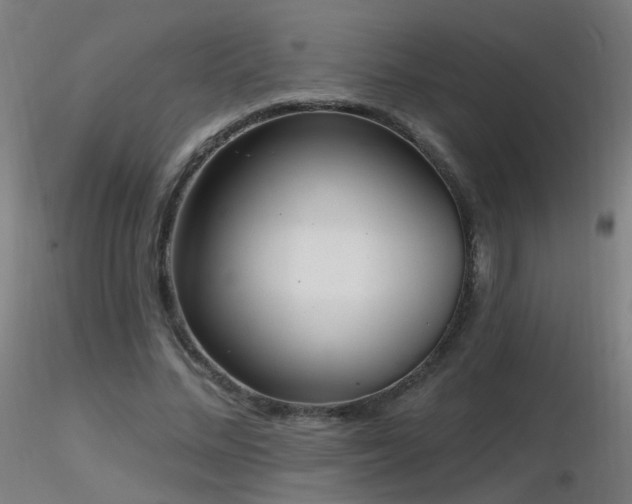 X0000116830684200912181434