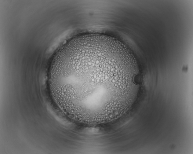 X0000116830687200912181434