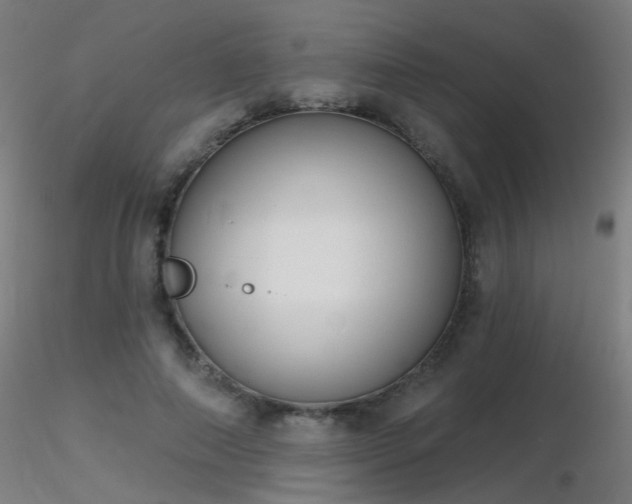 X0000116830690200912181434