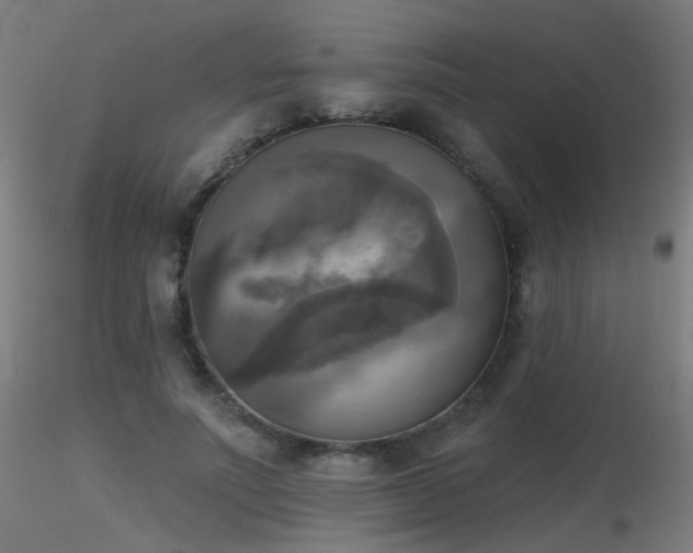 X0000116830691200912181434