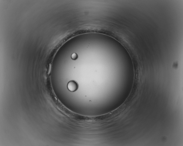 X0000116830692200912181434
