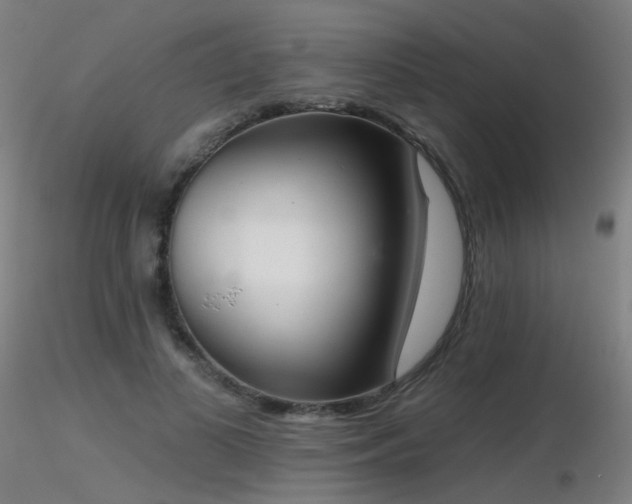X0000116830693200912181434