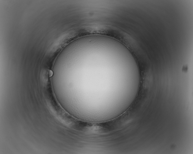 X0000116830695200912181434
