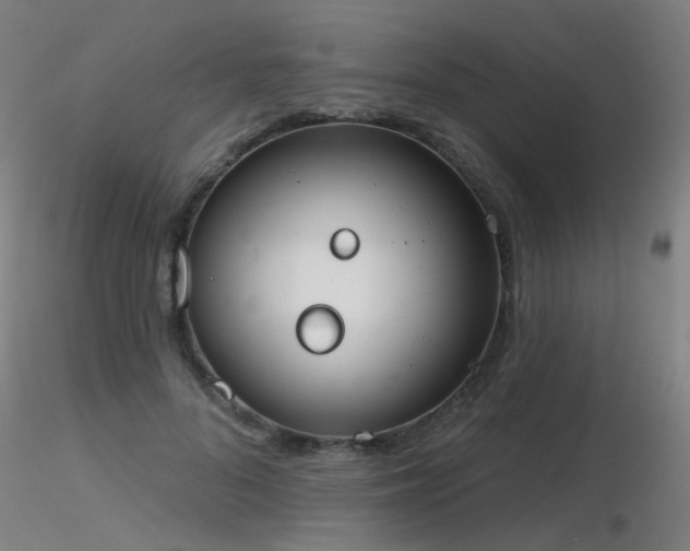 X0000116830696200912181434
