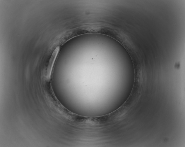 X0000116830697200912181434