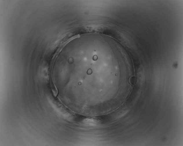 X0000116830699200912181434