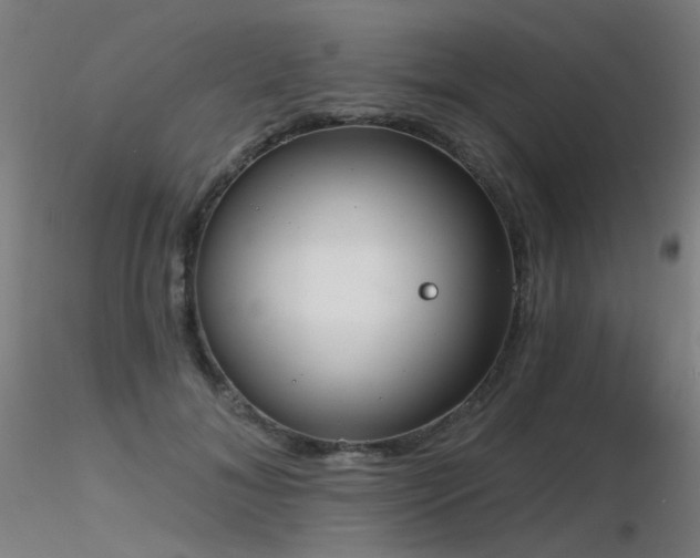 X0000116830700200912181434