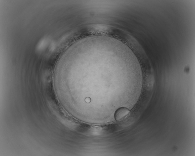 X0000116830701200912181434