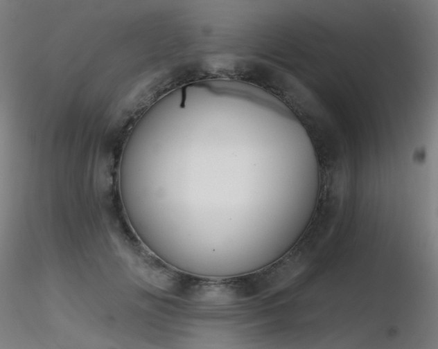 X0000116830702200912181434