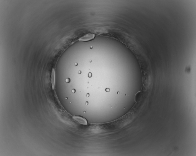 X0000116830704200912181434