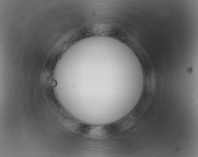X0000116830705200912181434