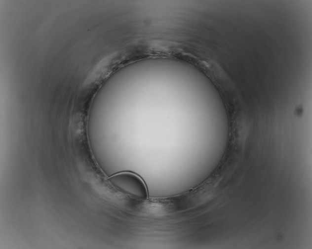 X0000116830706200912181434
