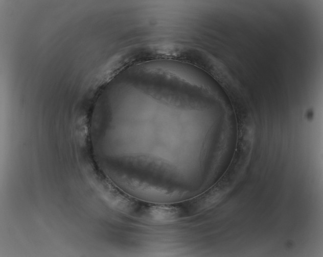 X0000116830707200912181434